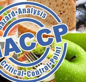 haccp