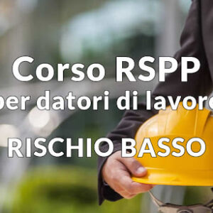 dlspp - rspp datori lavoro